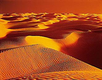 《小丑牌》大型更新测试版登陆Steam 体验大提升